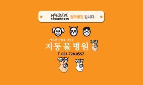 지 동물병원
