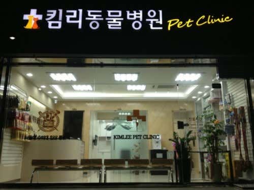킴리동물병원 대표이미지