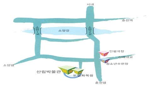 강원도산림박물관 · 네이버 지도·플레이스 2