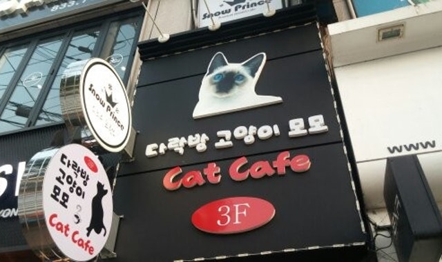 다락방모모 대표 사진