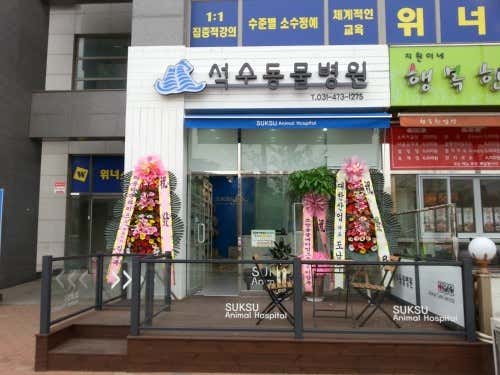 석수동물병원 대표이미지