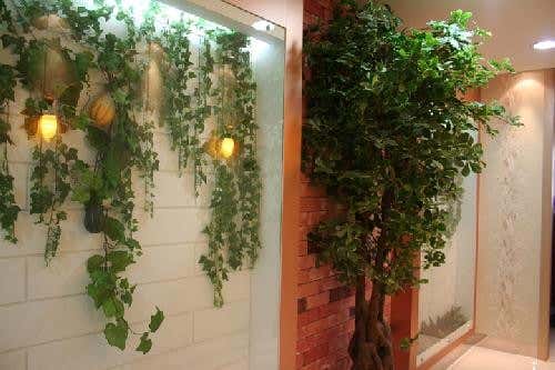 충남 아산시 산부인과 추천 top5 | 여성병원 골반염, 응급 분만, 성병 치료 다나산부인과의원