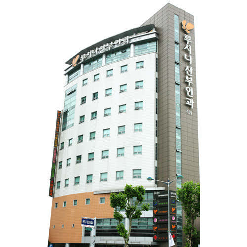 서울 성북구 산부인과 추천 top5 | 여성병원 골반염, 응급 분만, 성병 치료 루시나산부인과