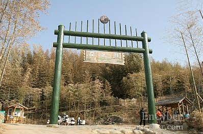 죽녹원