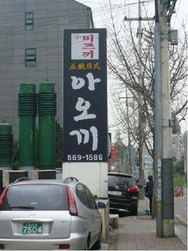 아오끼 사진 2