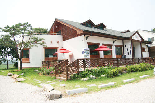봄의언덕