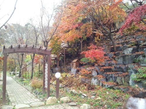 카페샘 · 네이버 지도·플레이스 2