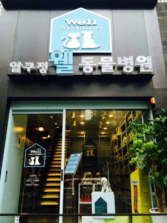 압구정웰동물병원 대표이미지