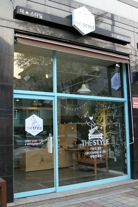 더스타일 대표이미지