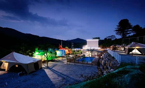 동물카라반펜션 · 네이버 지도·플레이스 7