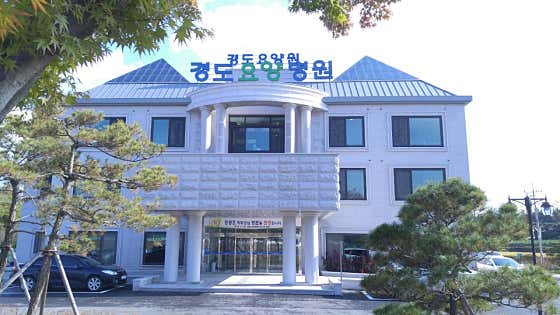 경북 예천군 요양병원 유명한 곳 추천 top2 | 암, 치매, 요양등급 경도요양병원