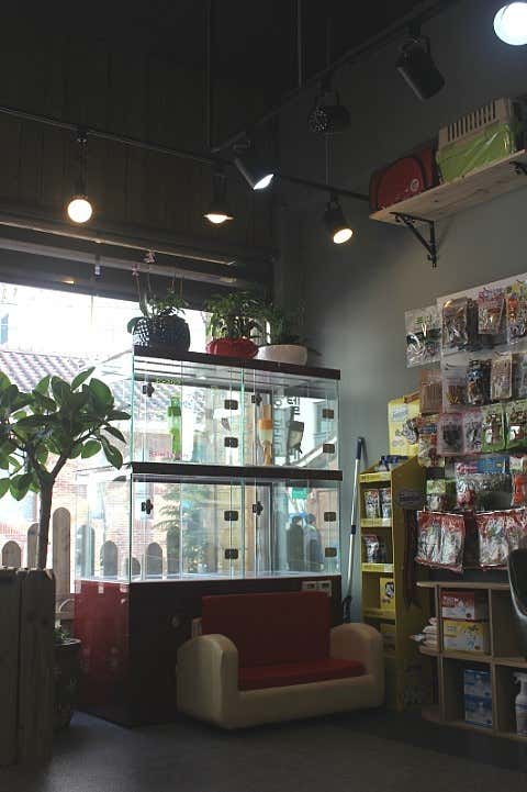 에스엘독 · 네이버 지도·플레이스 7