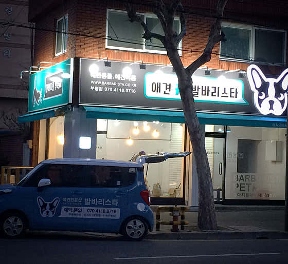 발바리스타