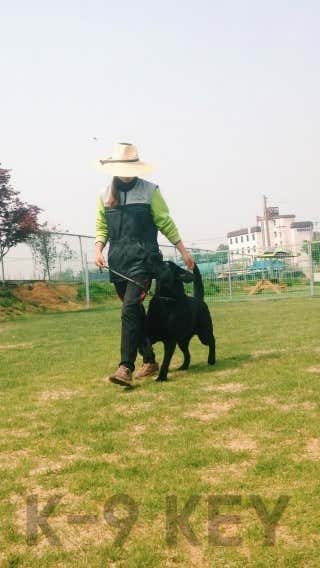 마스터독 아카데미 · 네이버 지도·플레이스 10