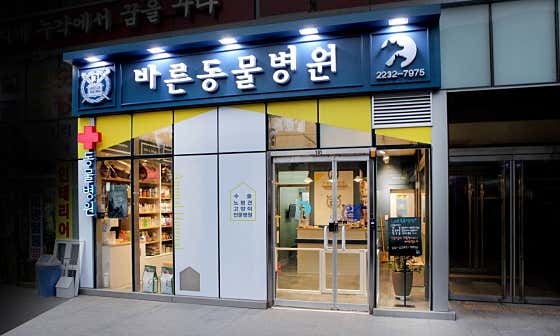 바른동물병원 대표이미지