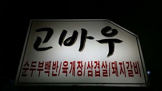 고바우 사진 2