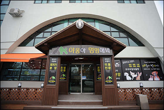 야옹아멍멍해봐 조치원점