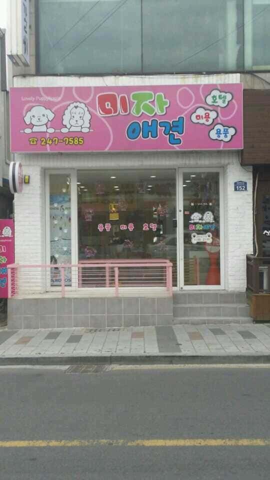 미자애견
