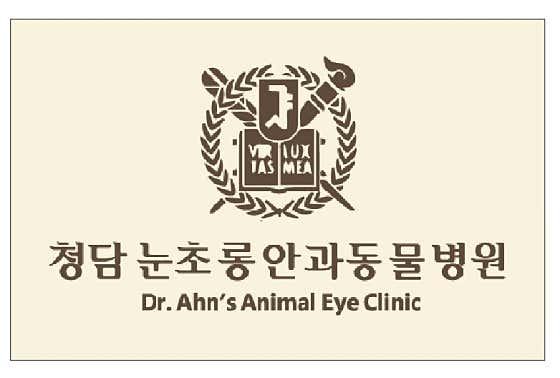 청담눈초롱안과동물병원 대표이미지