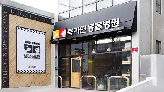 북아현동물병원 대표이미지
