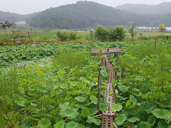 도경힐링나라