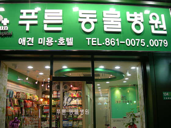 푸른동물병원 대표이미지