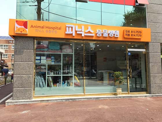 피닉스 동물병원 대표이미지