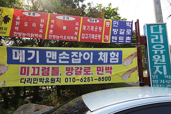다리민박유원지 · 네이버 지도·플레이스 2