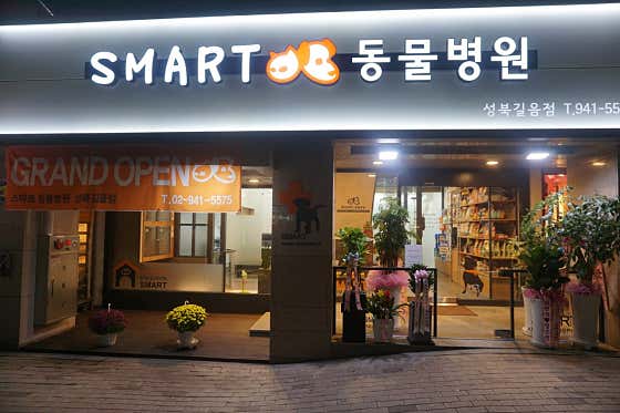 스마트동물병원 길음점 대표이미지