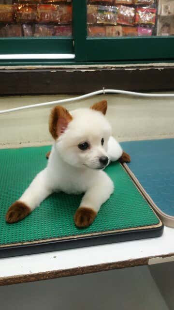 까가주개 · 네이버 지도·플레이스 6