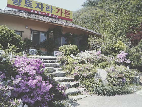 황토자라가든
