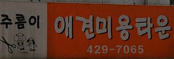 주름이애견미용타운