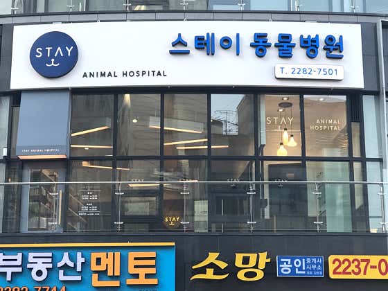 스테이동물병원 대표이미지