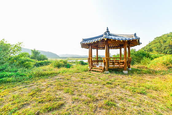 물꽃 캠핑장 사진
