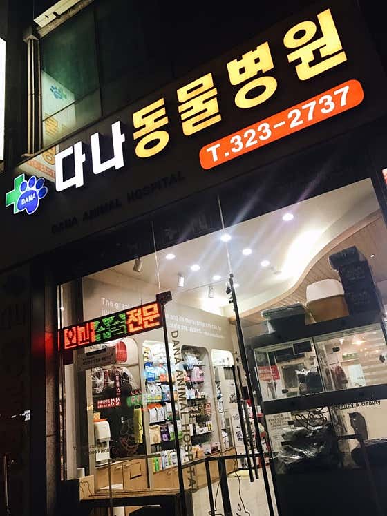 다나동물병원
