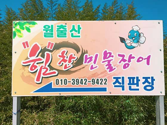 월출산힘찬민물장어