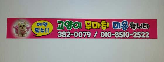 동물농장애견전문미용실 · 네이버 지도·플레이스 5