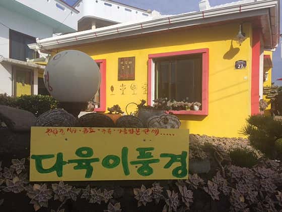 다육이풍경