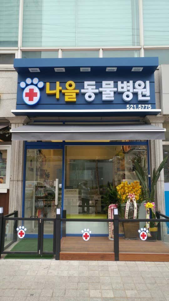나을동물병원 대표이미지