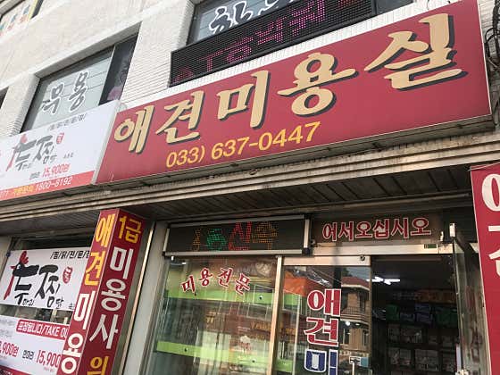 애견미용실
