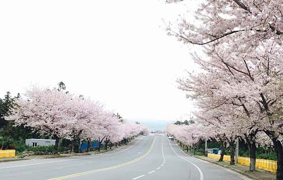 오들락 · 네이버 지도·플레이스 10