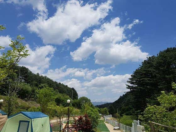 캠플레이 캠핑장 · 네이버 지도·플레이스 3