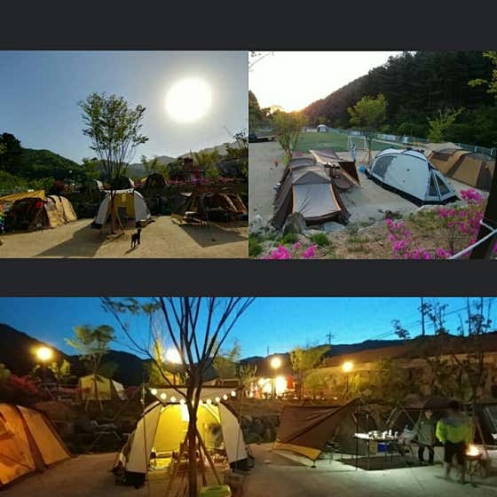 캠플레이 캠핑장