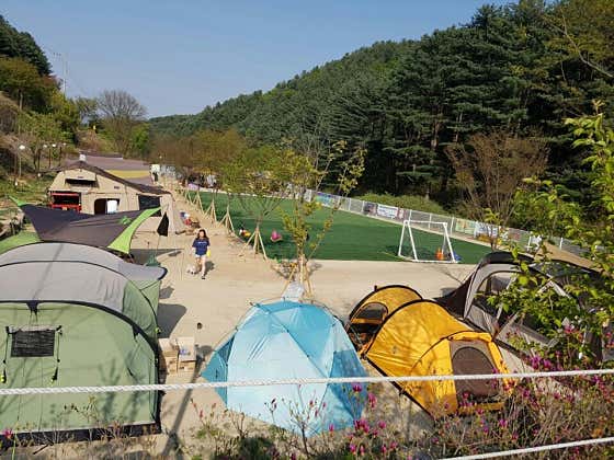 캠플레이 캠핑장 · 네이버 지도·플레이스 5