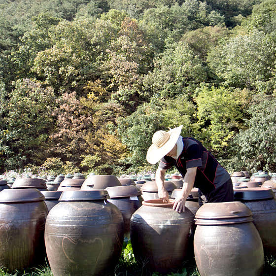 동트는농가