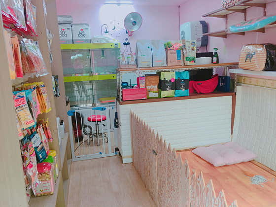 살롱드꽃개 · 네이버 지도·플레이스 9