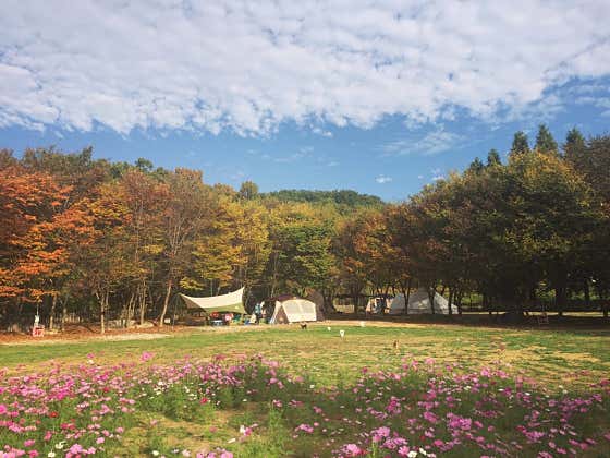 라포레캠핑장 대표이미지