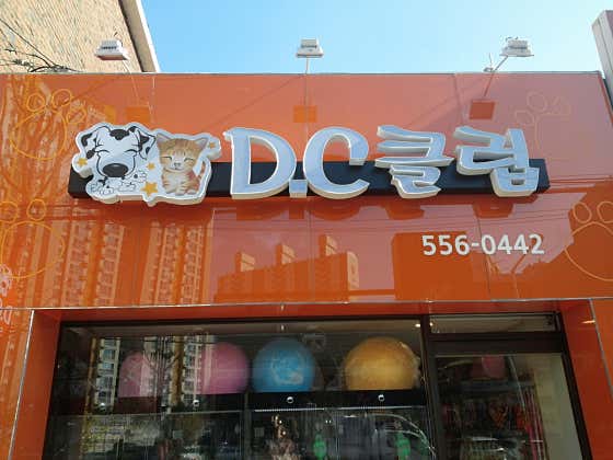DC클럽