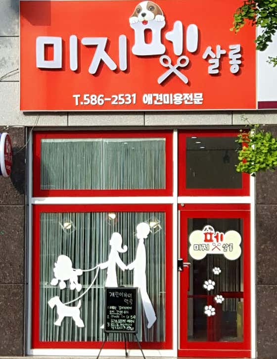 미지펫살롱
