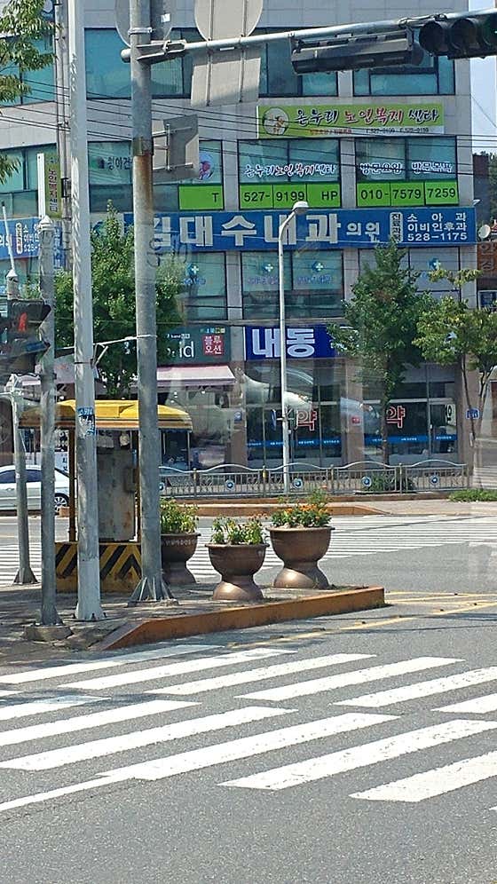 김대수내과의원